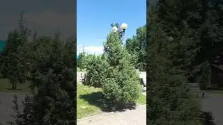 23 июня 2024 г.