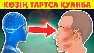Көзіңіз тартса Қуанбаңыз, Қуанатын нәрсе емес, Дәрігерге сразу баруға да асықпаңыз, Көз тартса