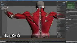 X-Muscle System for Blender