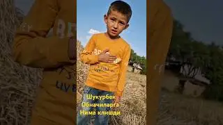 Шукурбек Обуначиларига Нима клишди