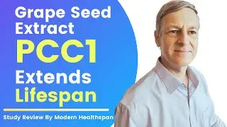 Grape Seed Extract PCC1 Extends Lifespan | Review By Modern Healthspan