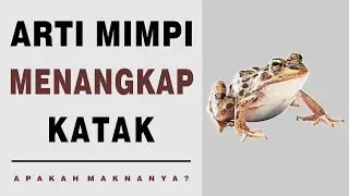 Arti Mimpi Menangkap Katak