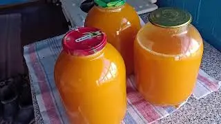 Снимаю всё подряд))