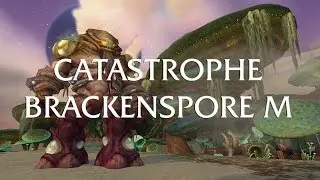 CATASTROPHE - Brackenspore (Mythic) - MultiPOV - Arms Warrior - Holy Paladin