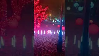 Лучший парк Украины
