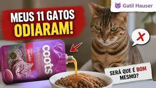 🐈 MOLHO GOURMET Coots para deixar a ração do gato mais ATRATIVA - Gatil Hauser