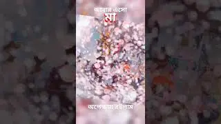 Joy Maa Durga bidai 