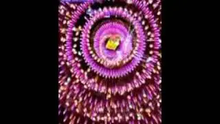『サイヴァリア』(Psyvariar)