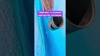 Вкусно... #геншинимпакт #нёвиллет #гидрокул