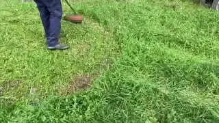 Stihl fs74