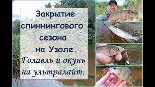 Закрытие спиннингового сезона на Узоле. Голавль и окунь на ультралайт