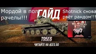 ShOtnik снова всех удивил!!! 3 отметки на Т95е6.