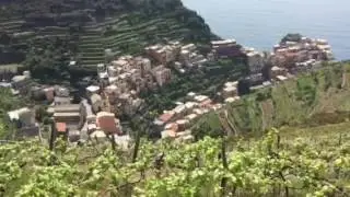 Hike in Manarola