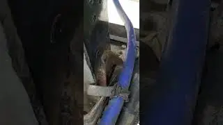 МАЗ РАДИАТОР ШАКМАН!