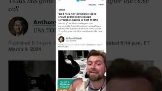 Gorilla attack on zookeeper? 