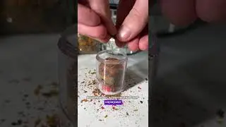 Авто кормление рыбок в аквариуме