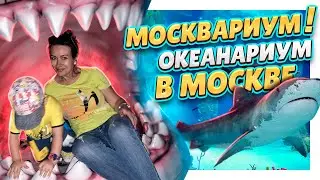 Москвариум ! Океанариум на ВДНХ в Москве! Самый большой в Европе! Обзорная экскурсия. 