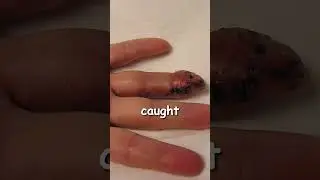 Do not buy these toys for your kids