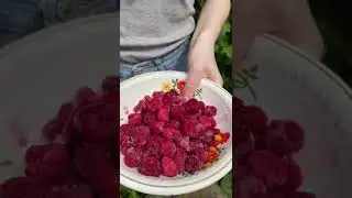 ВКУСНЫЙ МОРС 🥤🥤🥤
