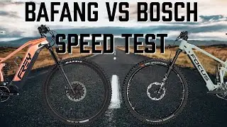 Frey Beast Vs Focus Jam - Straight Line Race