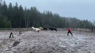 Табун девчонок🎀