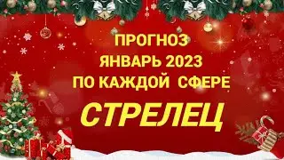 ПРОГНОЗ ЯНВАРЬ 2023 СТРЕЛЕЦ - ДЕНЬГИ, ЛЮБОВЬ, ЗДОРОВЬЕ