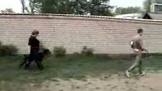 Домик