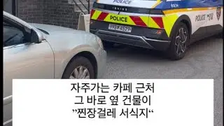 [중요!! 서서건달들 2023.06.17] 장걸레 돼지발정질질 44꼬리들