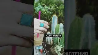 Садоводство