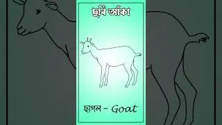 Goat Drawing । Goatt বাংলা মানে ছাগল #kidshome