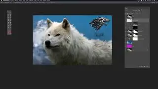 Recorte de pelo en Photoshop 2