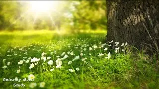 Relaxing Music • Deep Music, Relaxing Music, Stress Relief, Meditation Music (Flying)