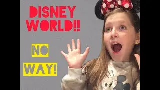 My Disney World trip!