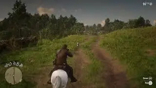 Get fox perfect pelt kill riding on horseback with repeater rifle - Red Dead Redemption 2