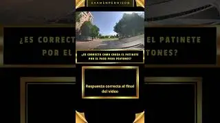 Patinete y paso para peatones.