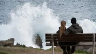 Tongan volcano eruption causes tsunami that reaches Bay Area