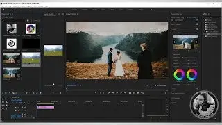Lut in Premiere ( Tutorial )