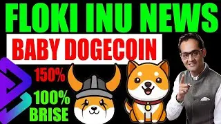 $FLOKI | $BABYDOGE | $BRISE | Blockchain Crypto News with Rajeev Anand