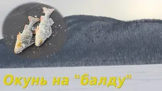 Рыбалка в Самаре. Залив Акулий, остров Голодный