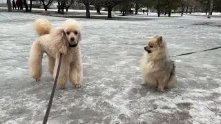 Ну давайте, давайте знакомиться 🤣