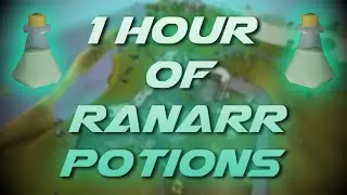 Making Ranarr Potions | Testing OSRS Wiki Money Making Methods