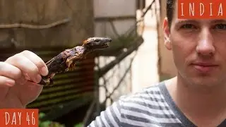 Eating Rat..Whole! | DAY 46