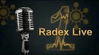 Заработал $200k на щиткоинах | Интервью номер 1 - Radex live