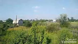 ДАЧА   и наш   РАЗРЕЗ.  7.19год.))