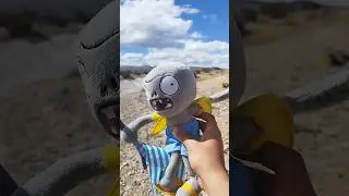 ZOMBIE PLAYERO Y SU OBSESIÓN POR LAS PISCINAS