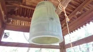 Temple 80  Kokubunji - 国分寺