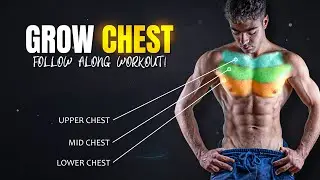 Intense Chest Workout | Follow Along (No Equipment)