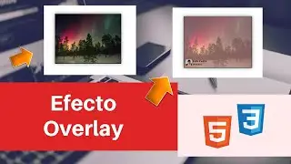 Efecto Overlay con HTML y CSS