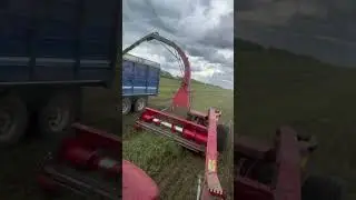 Chopping first cut alfalfa! #farming #farm #harvest