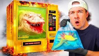 I Bought Live Sea Monsters from a Vending Machine...
